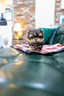 f4.webp